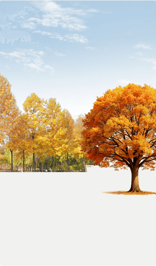 Сваи в подарк!